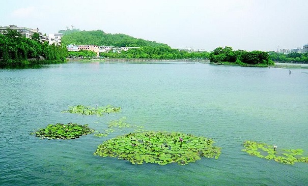 南京某村鎮生態環境修復項目